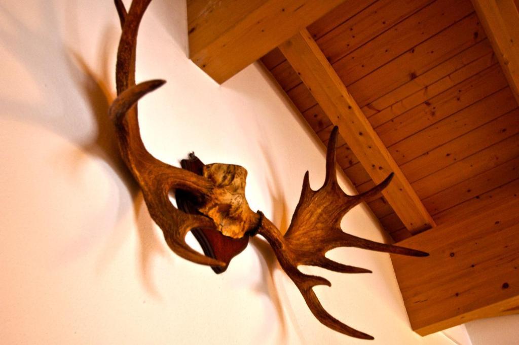 All Seasons Lodge By All In One Apartments Kaprun Extérieur photo